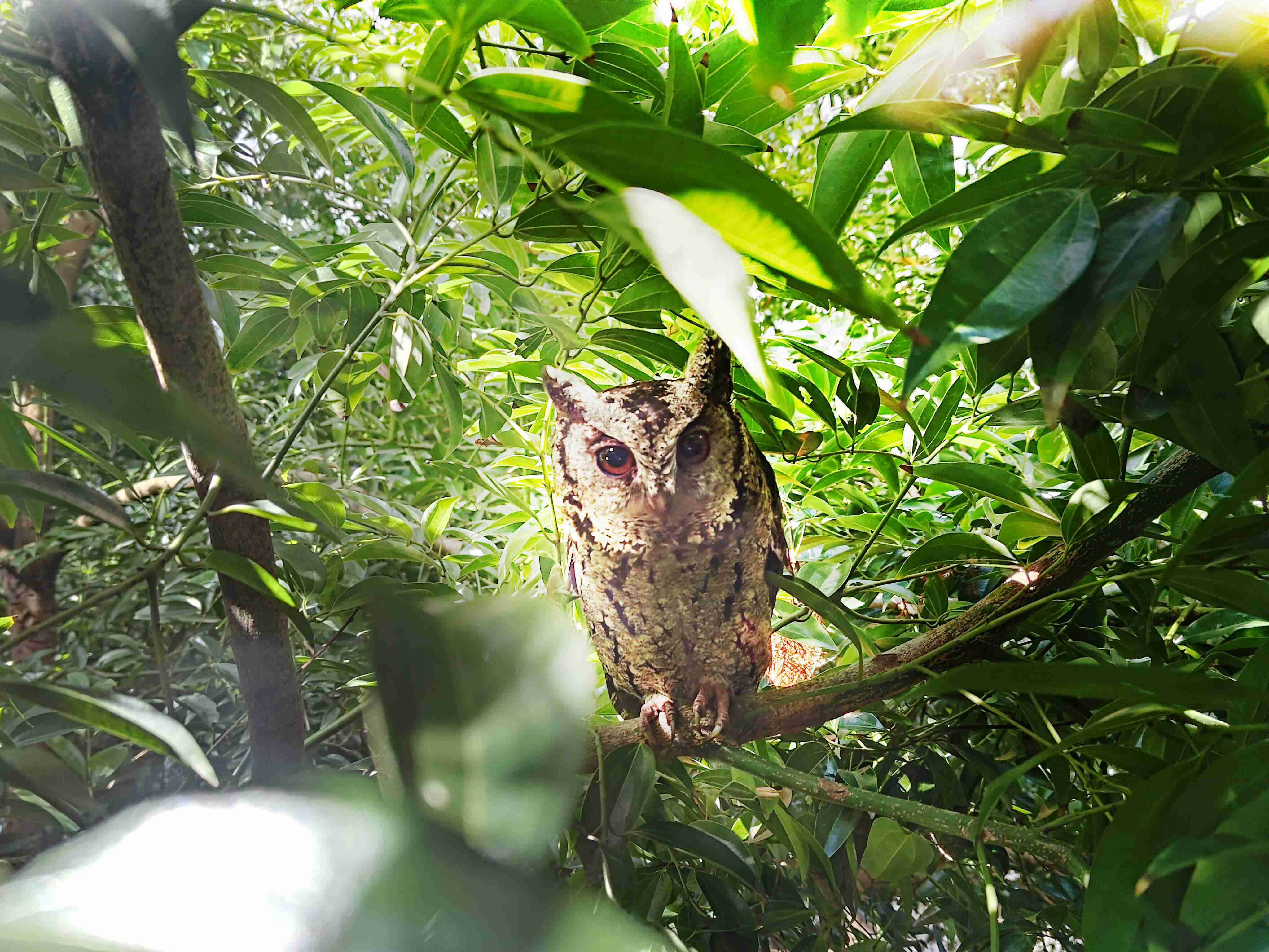 尊龙集团致力提倡净零绿生活，，，16年以来在全球各厂区植树逾百万棵，，，，造就各厂区树木蔚然成林，，犹如森林工厂，，成为许多生物的栖息地